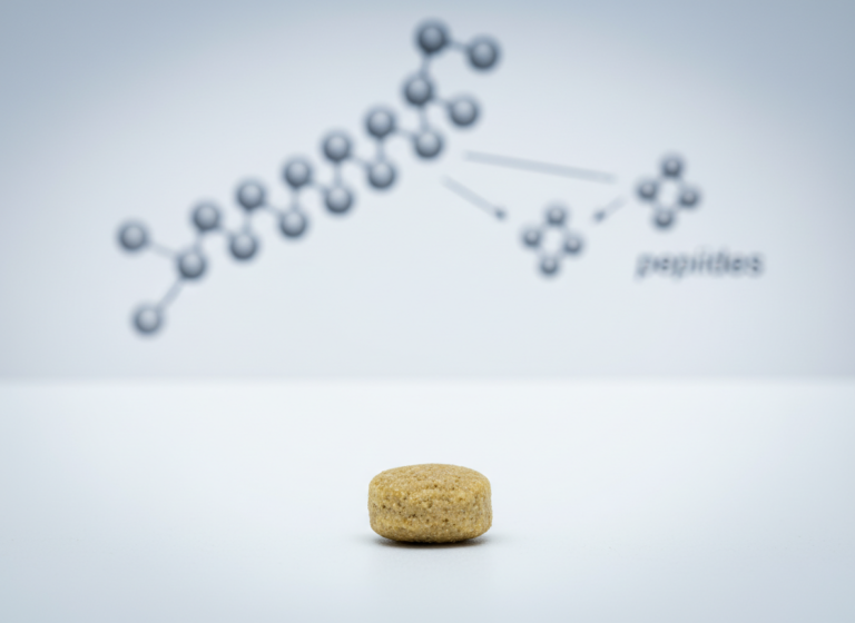 Hydrolyzed Protein Dog Food: The Science Behind Allergy Relief